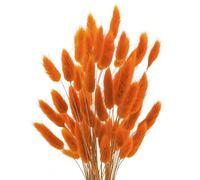 Lot de 20 herbes de la pampa séchées - 45 cm - Fleurs séchées - Blanc naturel - Pour vase, arrangement de mariage, fête, maison, hôtel, décoration - Orange
