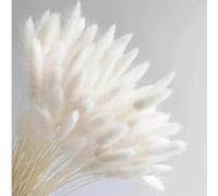 Lot de 20 herbes de la pampa séchées - 45 cm - Fleurs séchées naturelles - Pour vase, arrangement de mariage, fête, maison, hôtel, décoration - Blanc