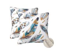 Lot de 20 Housse Coussin 30x30 cm Housses de Coussin Lumière Coussin Decoratif, Housse Coussin Plumes Taie Oreiller Carré Coussin Canape, Coussins Décoratifs Maison pour Salon Chambre Cadeaux-zt280
