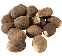 Lot de 20 noix de Tagua équitables | Ivoire végétalien | Taille M 55-65 mm/5,5 cm-6,5 cm