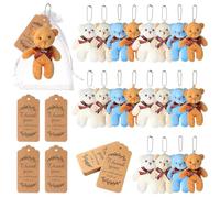 Lot de 20 ours miniatures en peluche, comprend des étiquettes de remerciement et des sacs en organza, couleurs assorties pour les invités, les fêtes prénatales, les fêtes d'anniversaire