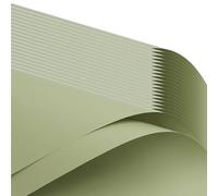 Lot de 20 papiers de couleur solides pour les arrangements floraux et l'emballage cadeau - Utilisez du papier floral amical avec du papier floral avec du papier d'emballage de bouquet