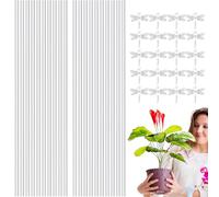 Lot de 20 piquets de support en acrylique transparent pour plantes grimpantes, support de jardin multifonction pour tulipes, pétunia, mûres pour plantes en pot