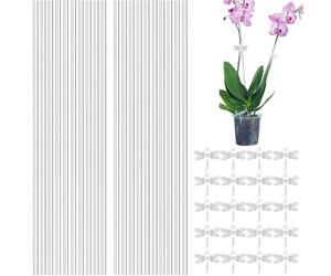 Lot de 20 piquets et Clips en Acrylique - Space-Saving - Transparents - avec Structures de Support pour - Tulipes et Pois - Utilité Multi-Usage en extérieur et en intérieur