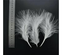 Lot de 20 plumes blanches de coq, d'oie, de faisan, pour travaux manuels, décoration de plumes de paon, de poulet, de canard, d'autruche, pour travaux d'aiguille (10-15 cm, 4-6 pouces)