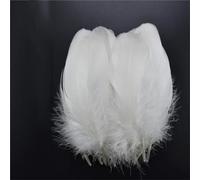 Lot de 20 plumes blanches de coq d'oie et de faisan plumes d'autruche
