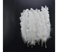Lot de 20 plumes blanches de coq d'oie et de faisan plumes d'autruche