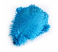 Lot de 20 plumes d'autruche naturelles 30-35 cm - Plumes douces - Grandes plumes d'oiseaux décoratives - Plumes colorées - Pour bricolage, maison, mariage, fête