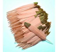 Lot de 20 plumes de canard dorées pour travaux manuels, plumes naturelles pour la fabrication de bijoux, décoration de mariage, 10-15 cm, couleur sang (poudre)