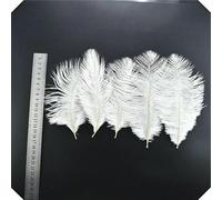 Lot de 20 plumes de coq et de faisan blanches, plumes d'autruche, de dinde et de poulet, attrape-rêves, accessoires de couture, décoration de mariage, 15 à 20 cm