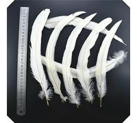 Lot de 20 plumes de coq et de faisan blanches, pour bricolage, attrape-rêves, autruche, dinde, poulet, accessoires de couture, décoration de mariage, 25-30 cm