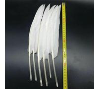 Lot de 20 plumes de faisan blanc, de coq, d'oie, d'autruche, de dinde, décoration de Noël, accessoires artisanaux DIY, attrape-rêves, 30-35 cm