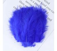 Lot de 20 plumes de faisan bleu royal, plumes d'oie, d'autruche, de coq, pour attaches de mouches, décoration de bijoux, artisanat de fête - Jian Wei Rong