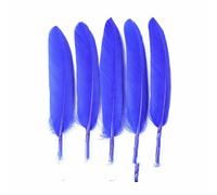 Lot de 20 plumes de faisan bleu royal, plumes d'oie, d'autruche, de coq, pour cravate, fête, artisanat, bijoux, décoration - Xiao Zhi Dao