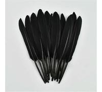 Lot de 20 plumes de faisan noires naturelles, plumes d'autruche, de coq, d'oie, attrape-rêves, décoration, accessoires artisanaux, 10-15 cm