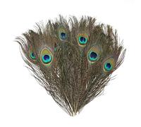 Lot de 20 plumes de paon, décoration de plumes de paon, 25 cm de long, plumes de paon pour travaux manuels, peuvent être utilisées pour la décoration de vases de fleurs, fournitures d'atmosphère de