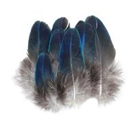 Lot de 20 plumes décoratives de 5 à 10 cm - Plumes de paon - Plumes décoratives - Plumes de queue de paon - Plumes d'oiseau - Pour boucles d'oreilles, attrape-rêves, artisanat, fabrication de cartes