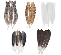 Lot de 20 plumes décoratives de faisan, 5 styles de plumes de faisan naturelles mélangées à pois, plumes artisanales de faisan naturelles, chapeau, fleurs, bricolage, maison, fête, mariage, spectacle