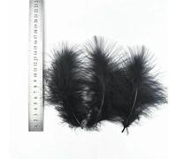 Lot de 20 plumes noires teintées, plumes d'oie, de coq, d'autruche, de faisan, pour la fabrication de bijoux, de carnaval, de loisirs créatifs, 10-15 cm