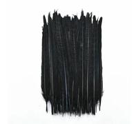 Lot de 20 plumes noires teintées, plumes d'oie, de coq, d'autruche, de faisan, pour la fabrication de bijoux, pour l'artisanat, le carnaval, 25-30 cm