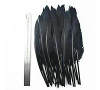 Lot de 20 plumes noires teintées, plumes d'oie, de coq, pour la fabrication de bijoux, plumes d'autruche, de faisan, pour l'artisanat, le carnaval, 28-32 cm