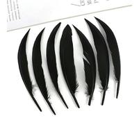 Lot de 20 plumes noires variées, plumes de coq, d'oie, d'autruche, de faisan, pour loisirs créatifs, carnaval, décoration de plumes (10-15 cm, 4-6 pouces)