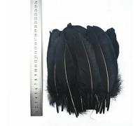 Lot de 20 plumes noires variées, plumes de coq, d'oie, d'autruche, de faisan, pour loisirs créatifs, carnaval, décoration de plumes (15-20 cm, 6-8 pouces)