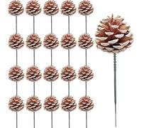 Lot de 20 pommes de pin naturelles de 5.1 cm avec pointes enneigées et piques vertes de 12.7 cm,Bâtons de pommes de pin pour travaux manuels, guirlandes de Noël, fête, décoration de vacances