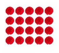 Lot de 20 pompons décoratifs en papier de soie - 15 cm - Rouge - Boules de fleurs en papier faites à la main - Guirlande de pompons multicolores - Pour mariage, anniversaire, fête prénatale, baptême