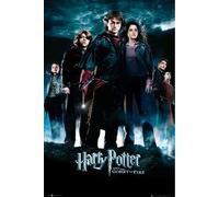 Lot de 20 posters de cinéma Harry Potter All - Dimensions : 61 x 91,5 cm + 1 paquet de tesa Powerstrips®