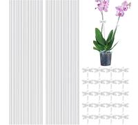 Lot de 20 poteaux pour en Acrylique Transparents avec Clip | Bâtons universels de Support pour de Jardin pour Pois, mûres, Roses, Tulipes, pétunia
