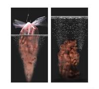 Lot de 20 sacs solubles en PVA pour la pêche Idéal pour une utilisation rapide des appâts (M)