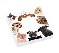 Lot de 20 serviettes Chiens et chats en cercle - Animaux domestiques - Amusantes - Décoration de table - Découpage - Technique de serviette 33 x 33 cm