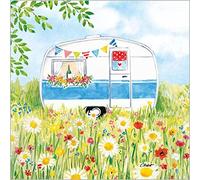 Lot de 20 serviettes de camping dans le champ de fleurs - Décoration de table - Découpage - Technique de serviettes 33 x 33 cm