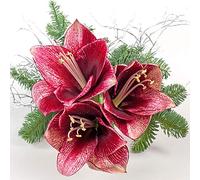 Lot de 20 serviettes de Noël en forme de fleur de Noël - Naturel/hiver/Noël - 33 x 33 cm