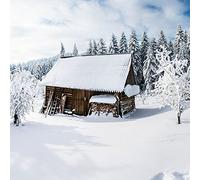 Lot de 20 serviettes de table en bois dans la forêt hivernale, forêt, neige, hiver, Noël 33 x 33 cm