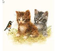 Lot de 20 serviettes de table en forme de chats d'accès pour les amoureux des animaux 33 x 33 cm