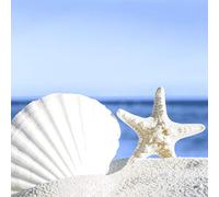 Lot de 20 serviettes de table en papier Motif étoiles de mer et coquillages sur la plage de sable 33 cm