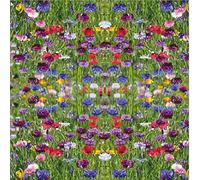 Lot de 20 serviettes de table Flower Field - Champ de fleurs multicolores / fleurs / prairie - 33 x 33 cm