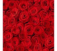 Lot de 20 serviettes de table - Lit de rose rouge - Fleurs - Pour mariage, Saint-Valentin, fête des mères, décoration de table - Découpage - Technique de serviette 33 x 33 cm