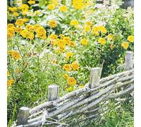 Lot de 20 serviettes de table - Motif fleurs - Printemps - Été - Neutres - Intemporelles - Décoration de table - Decoupage - Technique de serviette 33 x 33 cm