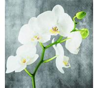 Lot de 20 serviettes de table Orchidée blanche pour le printemps, l'été et l'automne 33 x 33 cm