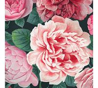 Lot de 20 serviettes de table pivoines - Été - Décoration de table 33 x 33 cm