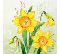 Lot de 20 serviettes en papier à motif de grandes jonquilles sur fond vert clair Convient également pour le découpage et la technique des serviettes 33 x 33 cm