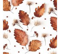 Lot de 20 serviettes en papier avec motif feuilles d'automne douces pour décoration de table Convient également pour le découpage et la technique des serviettes 33 x 33 cm