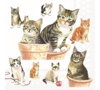 Lot de 20 serviettes en papier avec motifs d'animaux - Motifs de nombreux chats mignons - Pour décoration de table - Serviettes en papier avec motif - Convient également pour le découpage et la