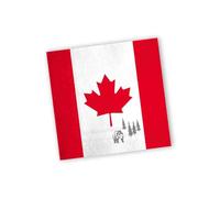 Lot de 20 serviettes en papier DH-Konzept pour fête et anniversaire - Thème du Canada - Feuille d’érable