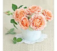 Lot de 20 serviettes en papier Motif fleurs Orange 33 x 33 cm