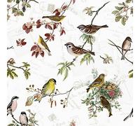 Lot de 20 serviettes en papier Motif oiseaux domestiques/gel V?gel/animaux/motif printanier 33 x 33 cm