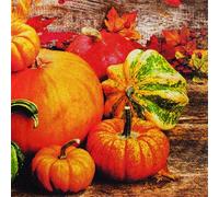 Lot de 20 serviettes rustiques en forme de citrouille pour l'automne 33 x 33 cm